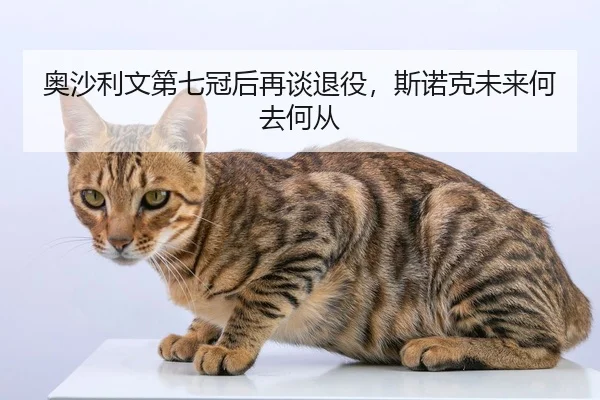 奥沙利文第七冠后再谈退役，斯诺克未来何去何从