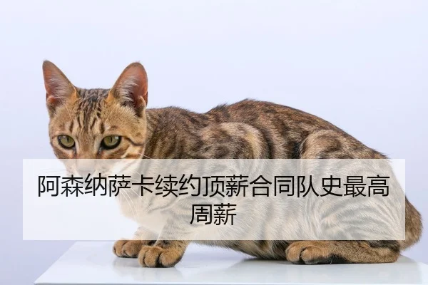 阿森纳萨卡续约顶薪合同队史最高周薪